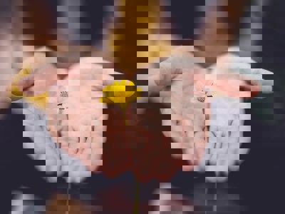 Waar kan ik vrijwilligerswerk doen?