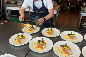 Advies subsidieplan
