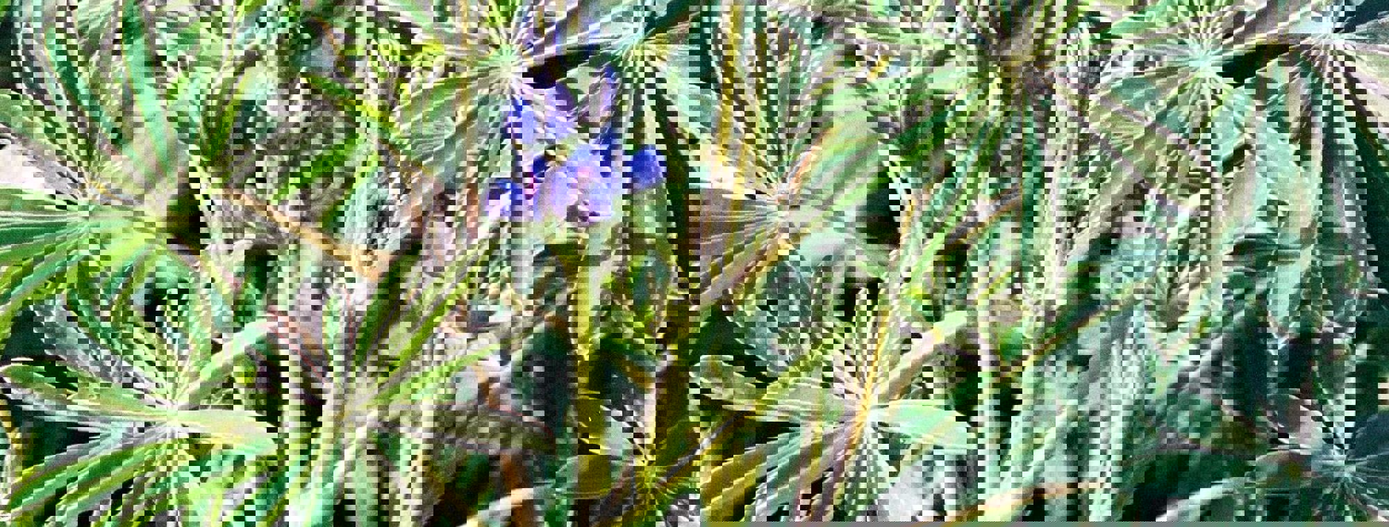 9ea1265b-e08d-4ce1-8c4a-fae76002b0c3
