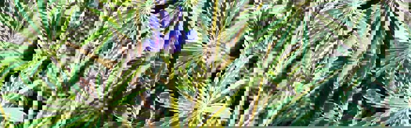 Copywriting webteksten