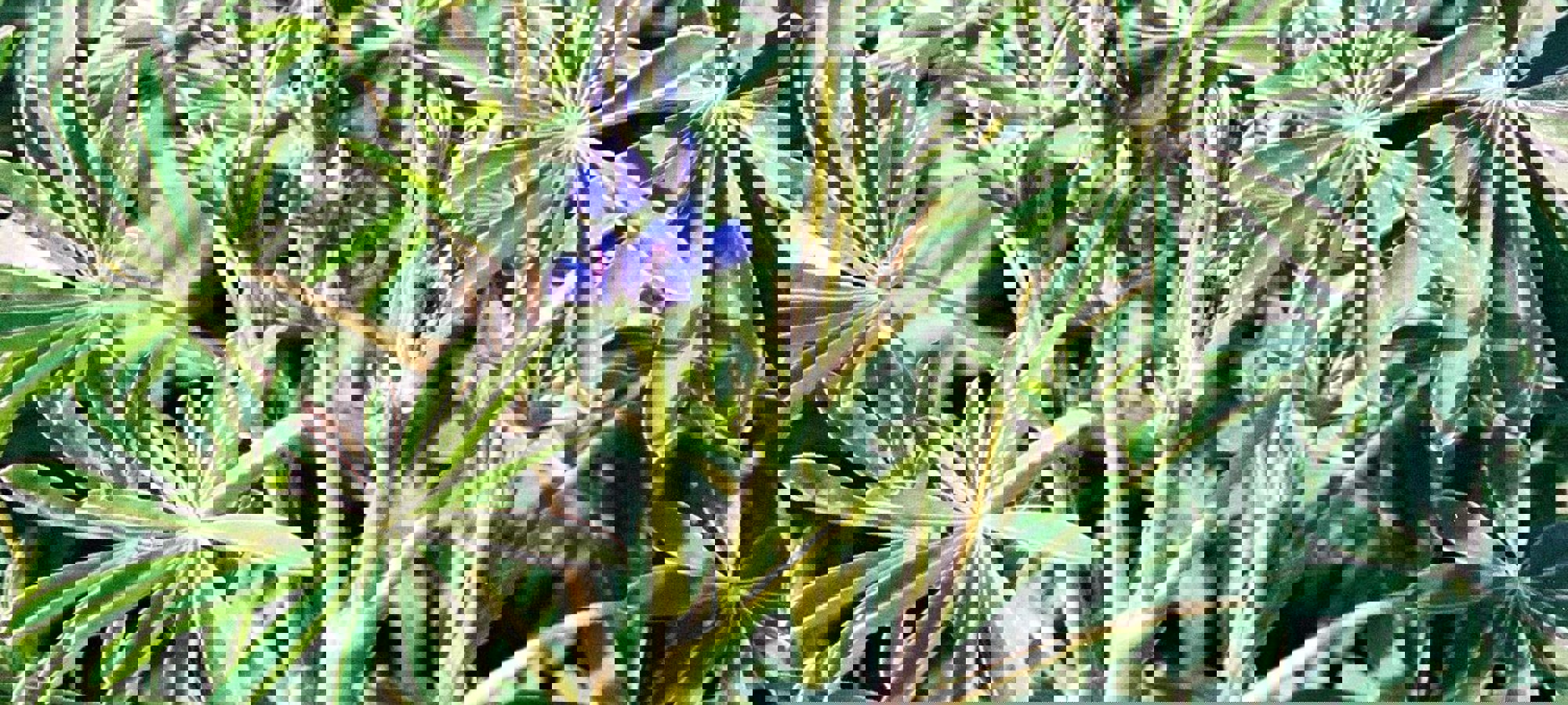 9ea1265b-e08d-4ce1-8c4a-fae76002b0c3