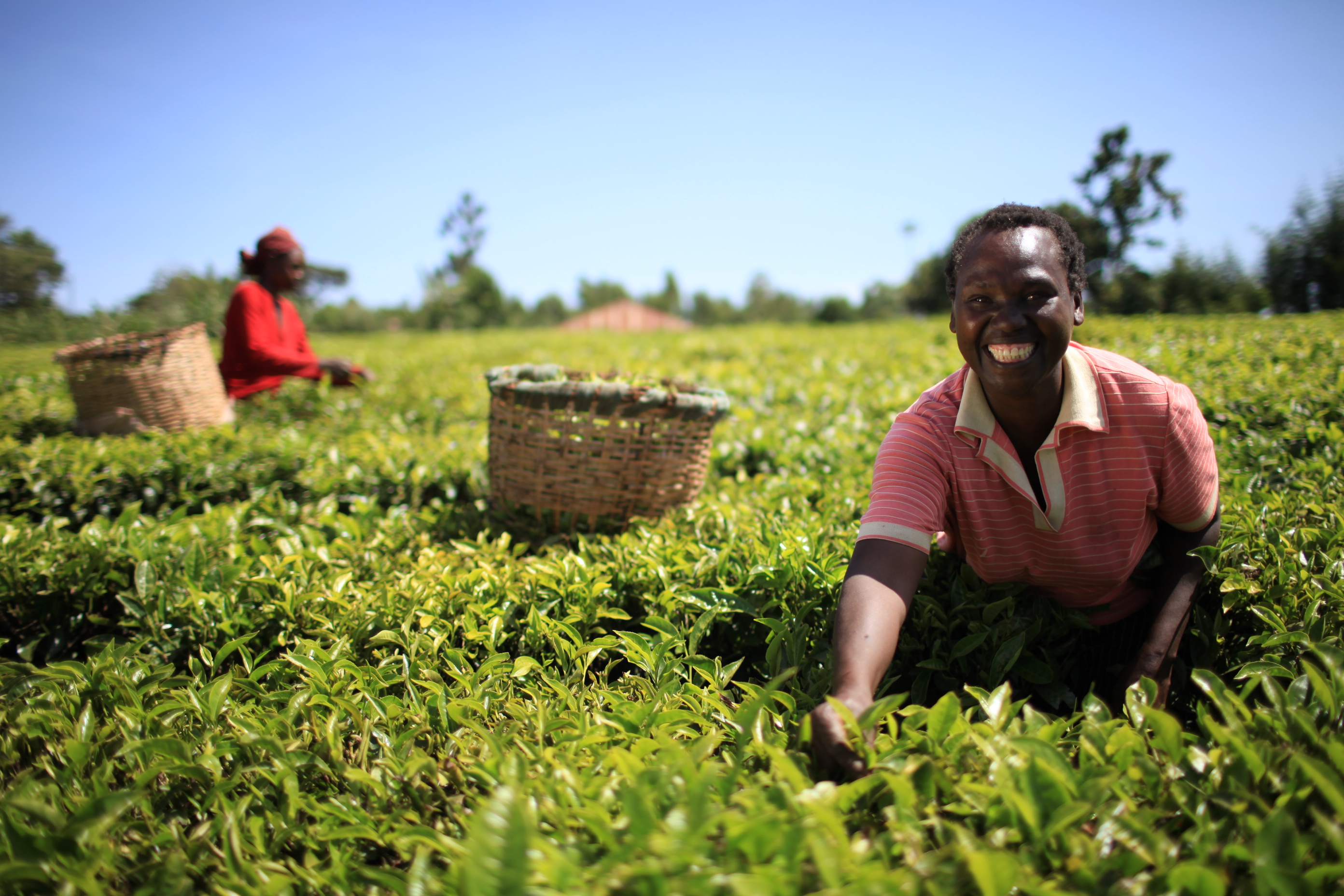 Google Ads verbeteren