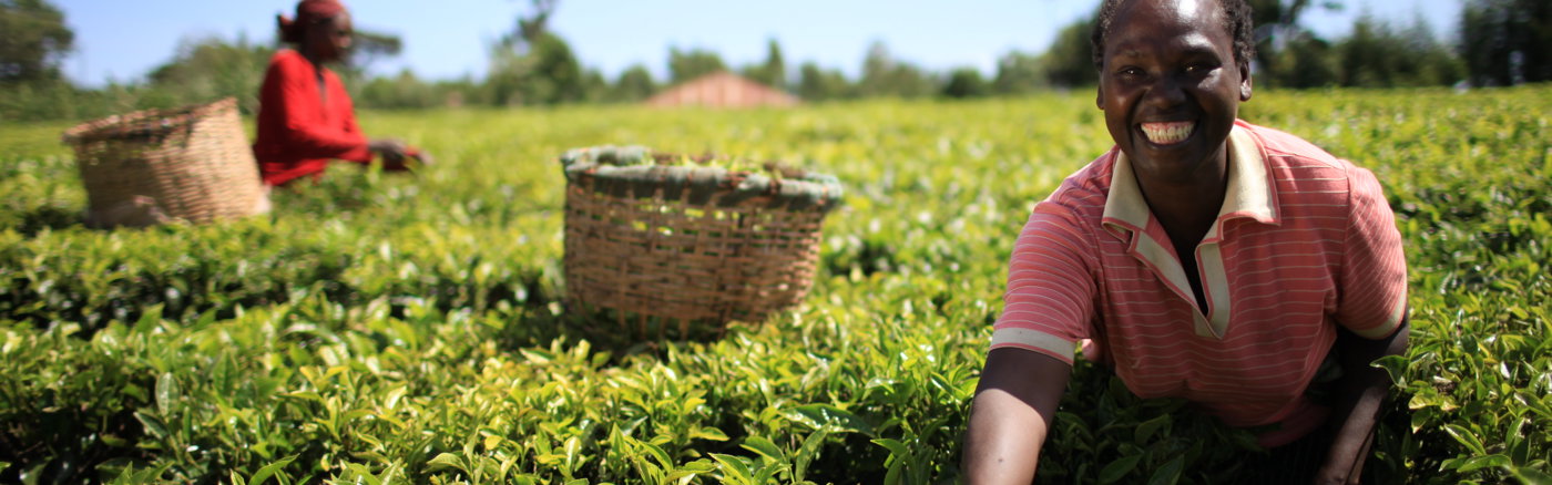 Google Ads verbeteren