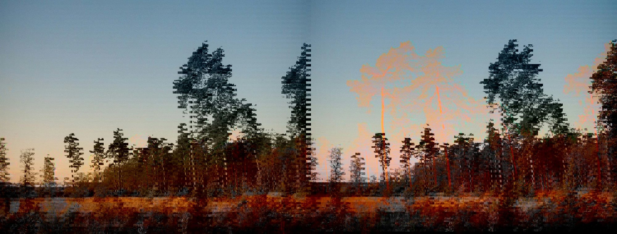 Jeffrey Brandjes Cp A2thjax4 Unsplash (1)