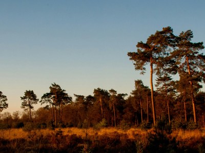 Vrijwilligers in Hoogeveen