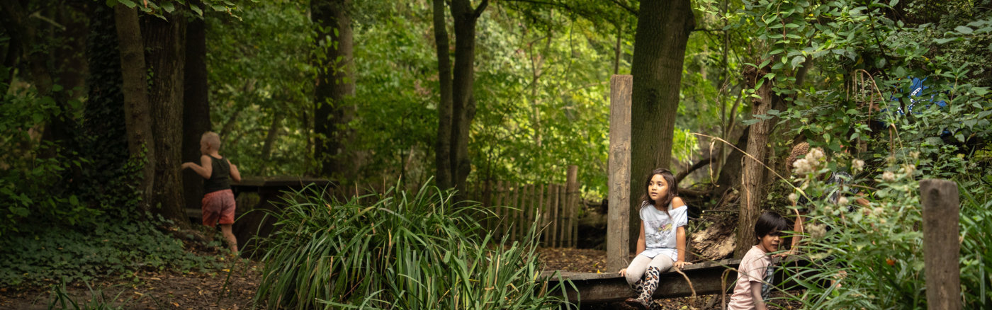 Interim vrijwilliger: management ondersteuning 