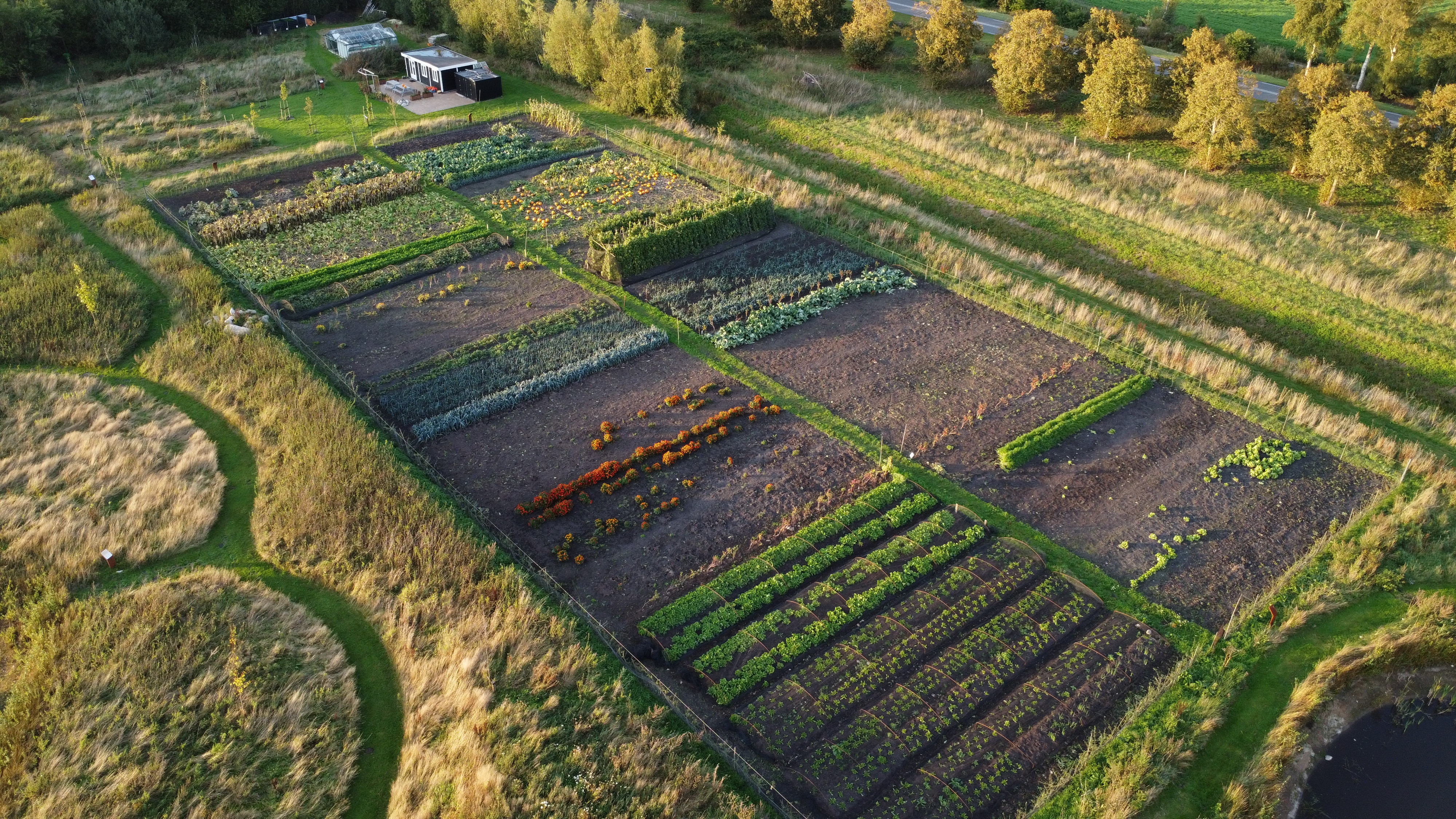 Stichting Voedseltuin Emmen