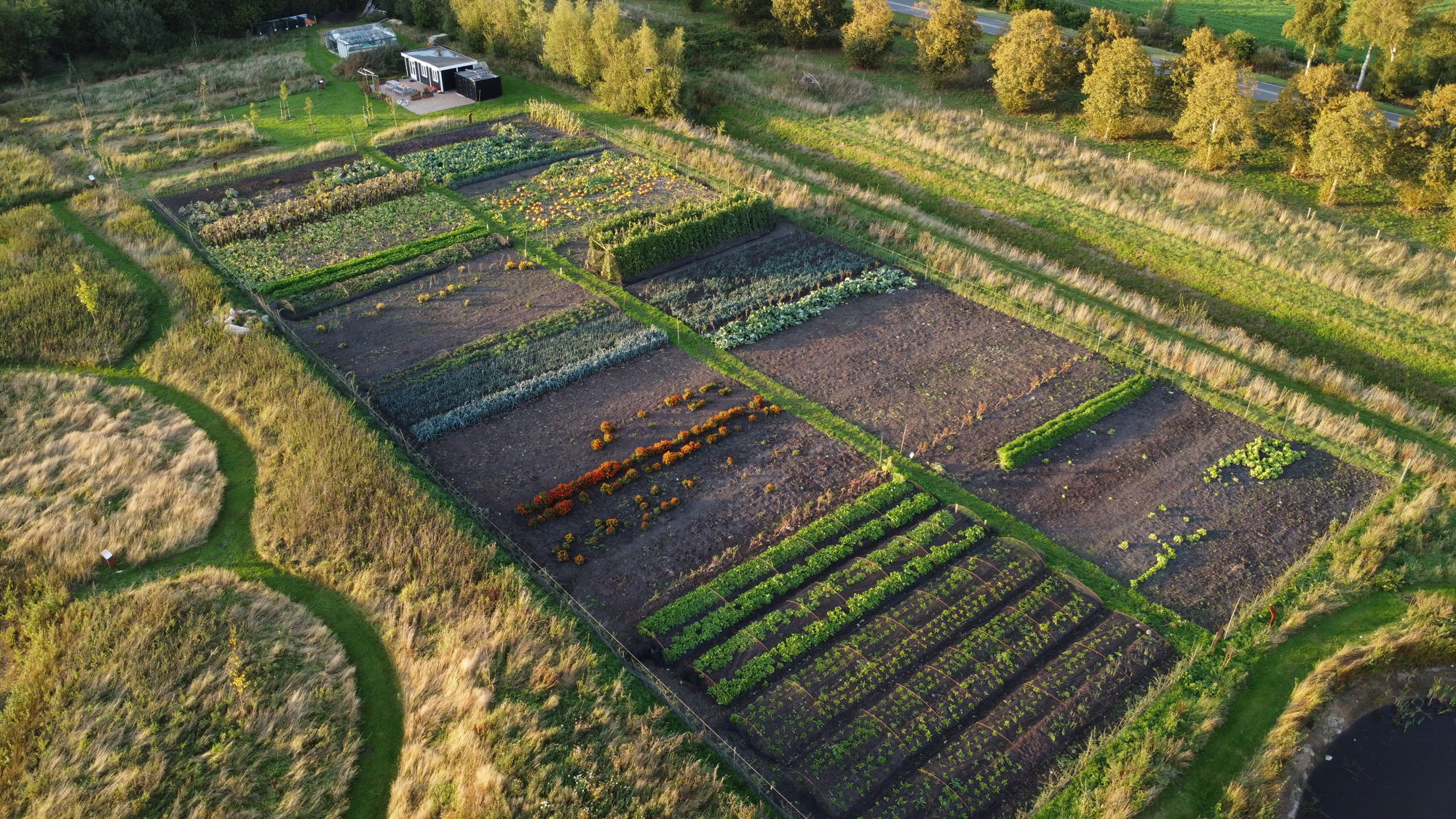 Stichting Voedseltuin Emmen