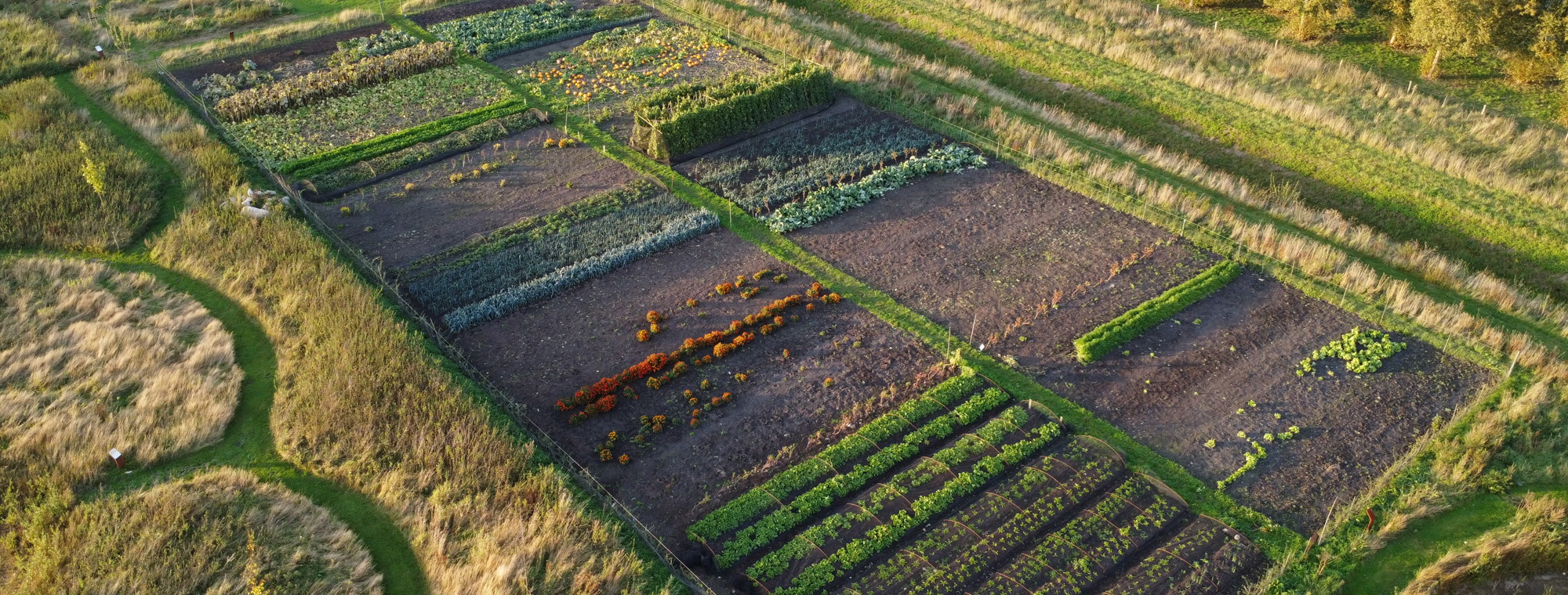 Stichting Voedseltuin Emmen