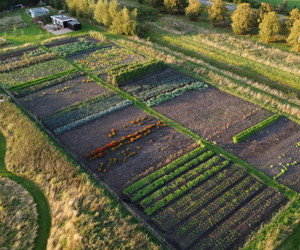 Stichting Voedseltuin Emmen