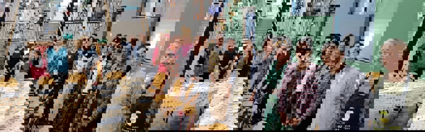 Strategisch advies over Social Media