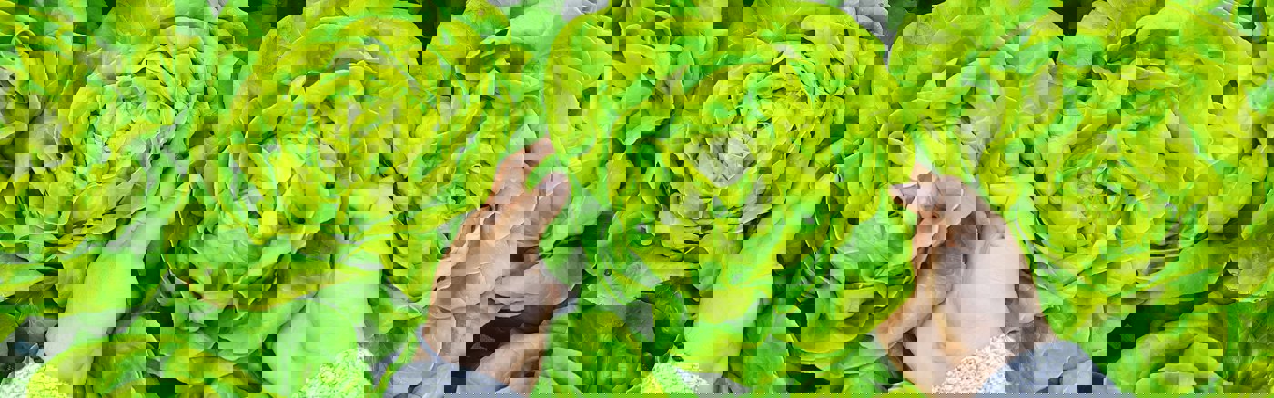 Strategisch Communicatie advies