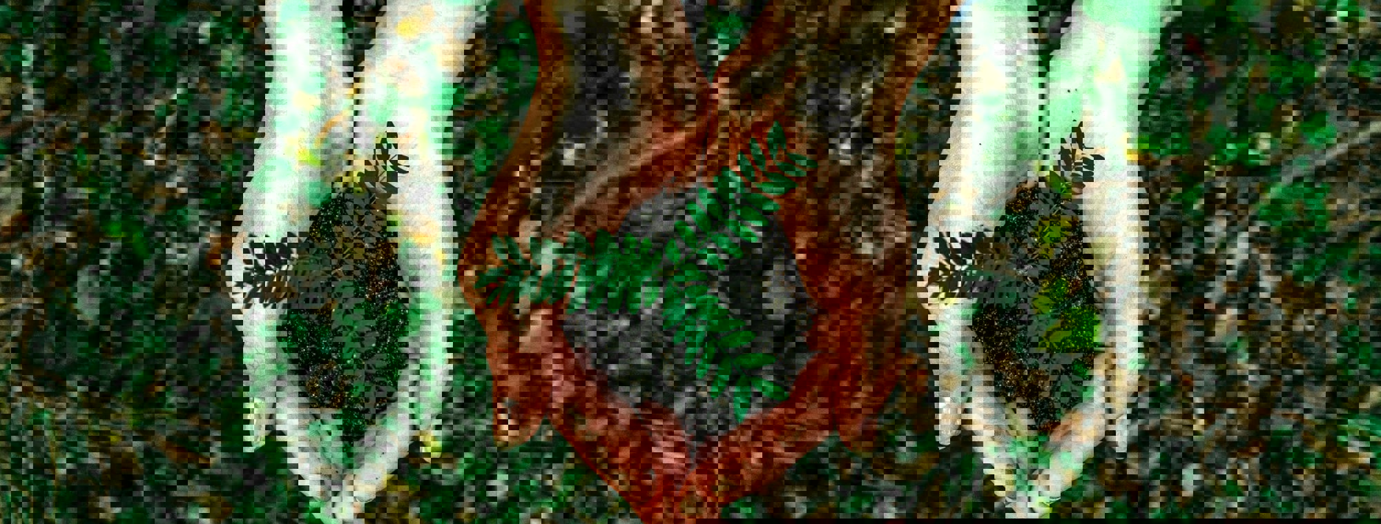 33d943b7-a2b9-42b5-92fc-abe8533852c1