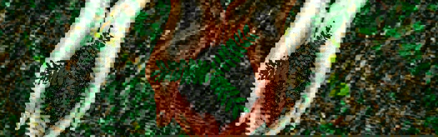 Facebook, LinkedIn & Instagram Ads