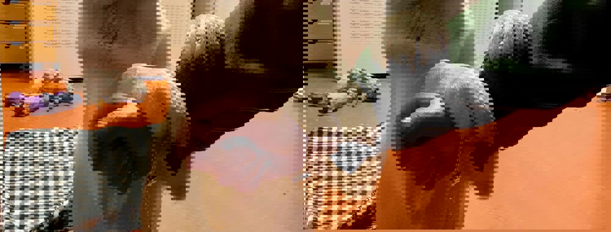 cf5e6208-8eb3-45a4-8f84-5f26667209e4