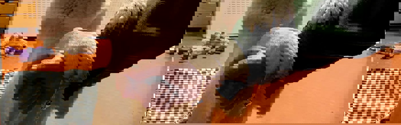 HR advies functiewaardering