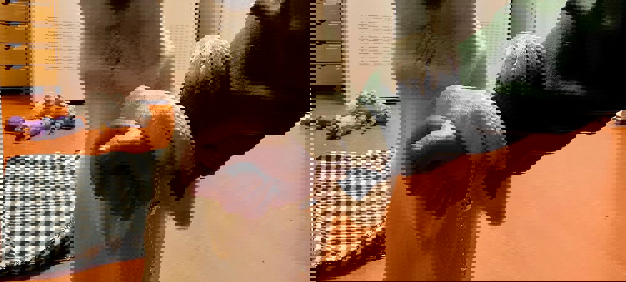 cf5e6208-8eb3-45a4-8f84-5f26667209e4