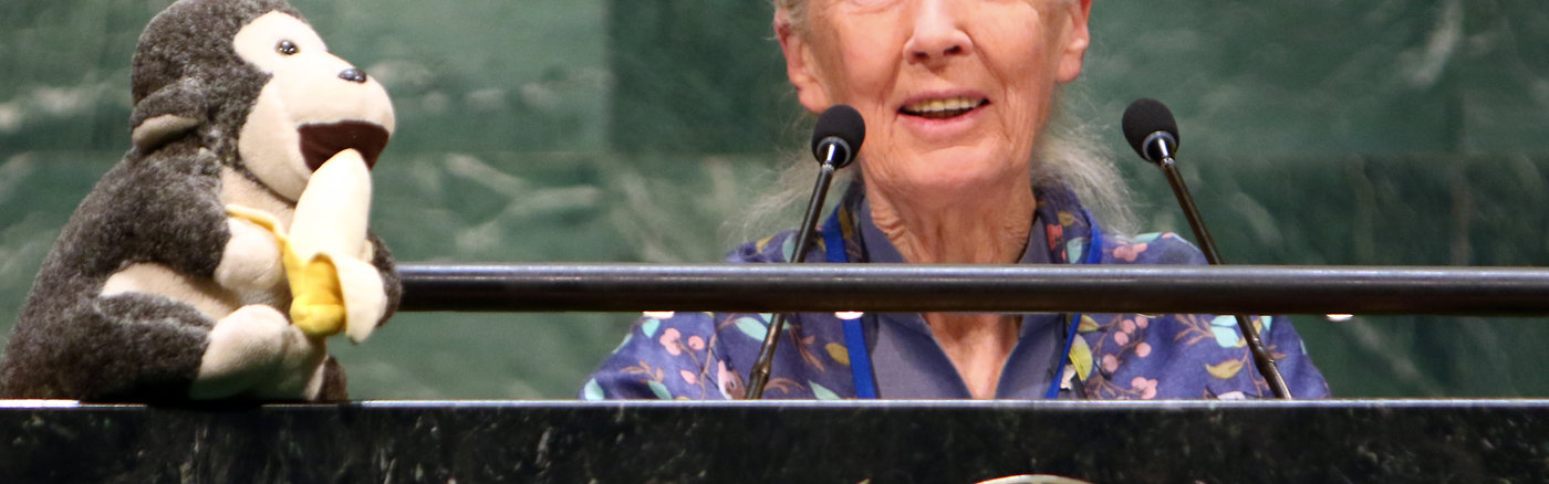 Adverteren in Google met Google Grants