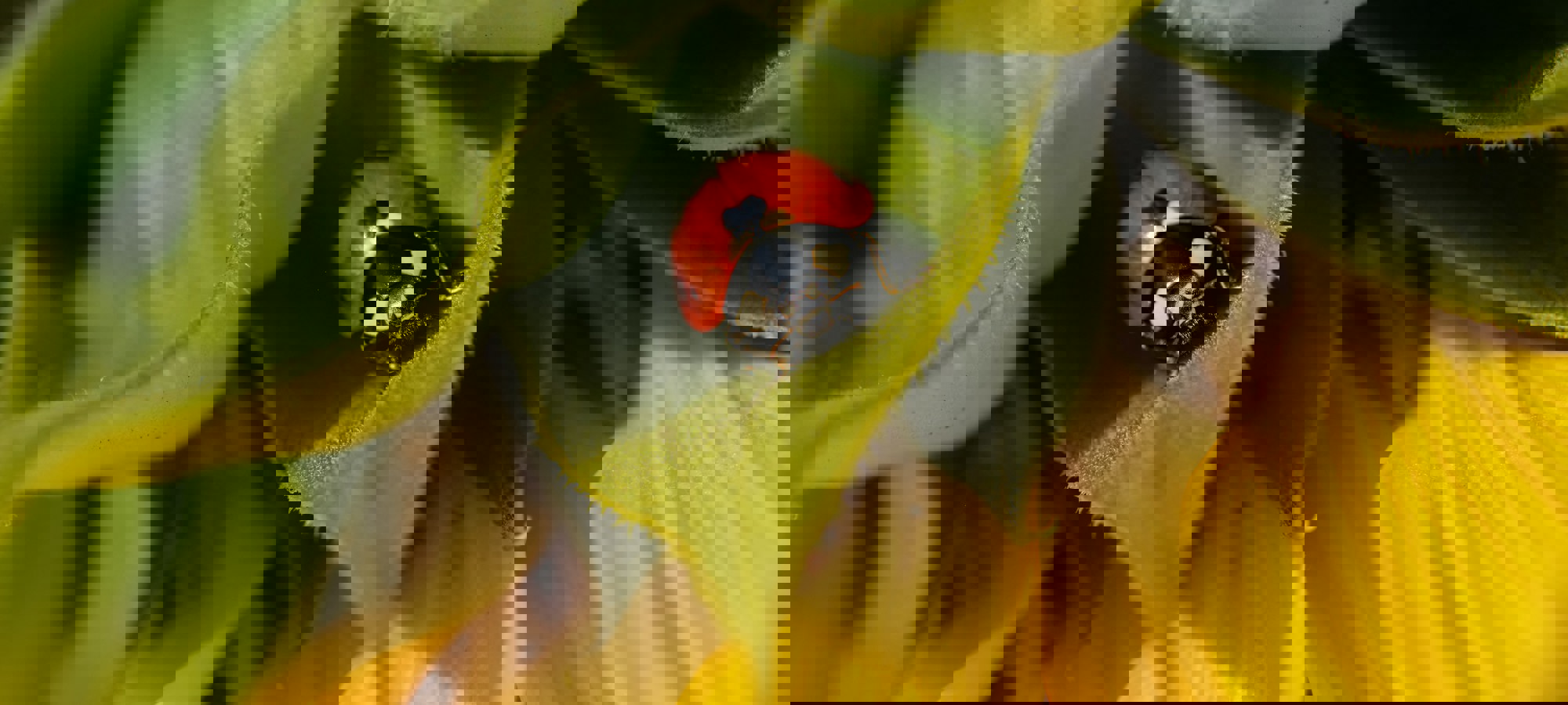 Malcolm Lightbody Hnxw5qbzmzw Unsplash