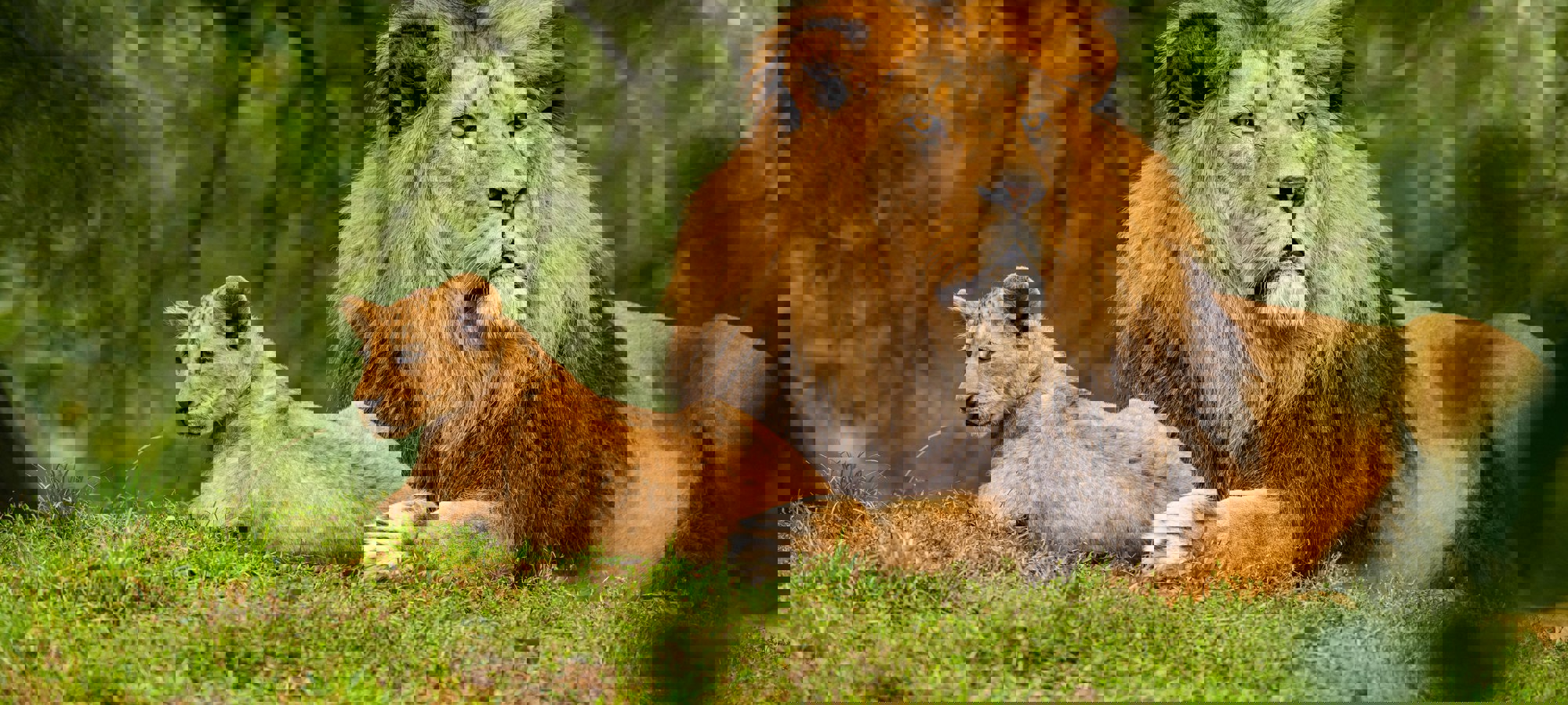 Zdenek Machacek Uxhol6swlym Unsplash