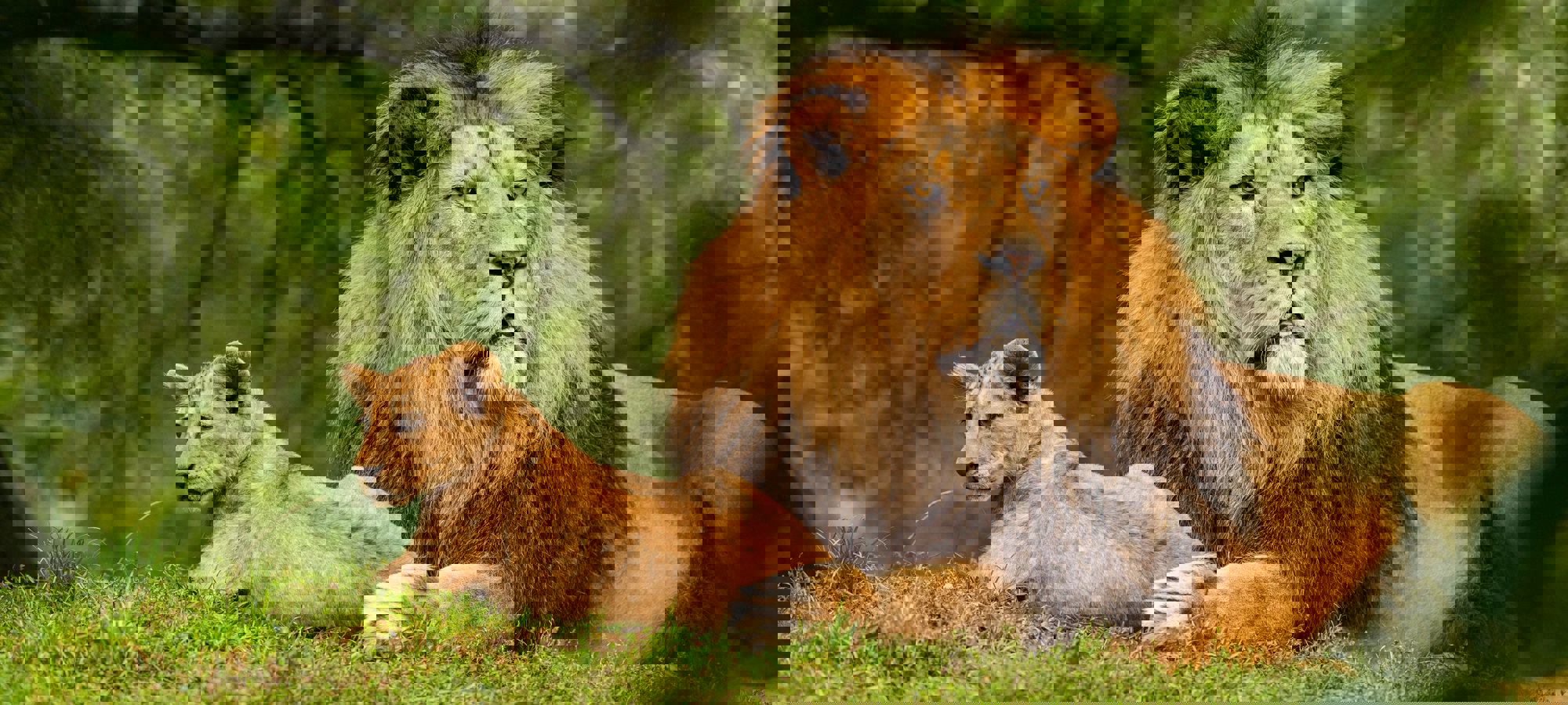 Zdenek Machacek Uxhol6swlym Unsplash
