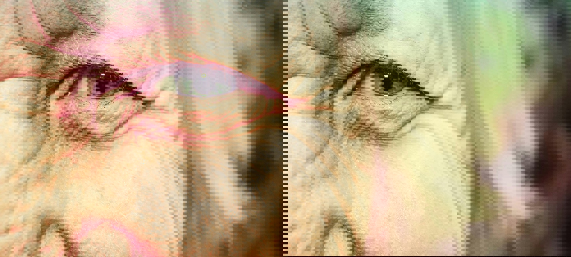 a384fd0f-26a6-44e5-abb9-8e30c295c748 (1)