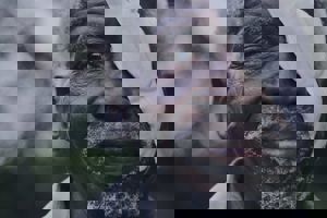 Configuratie Salesforce Marketing Cloud