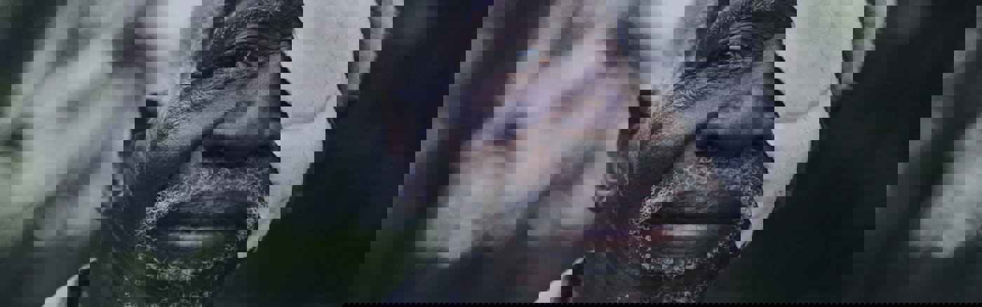 Configuratie Salesforce Marketing Cloud