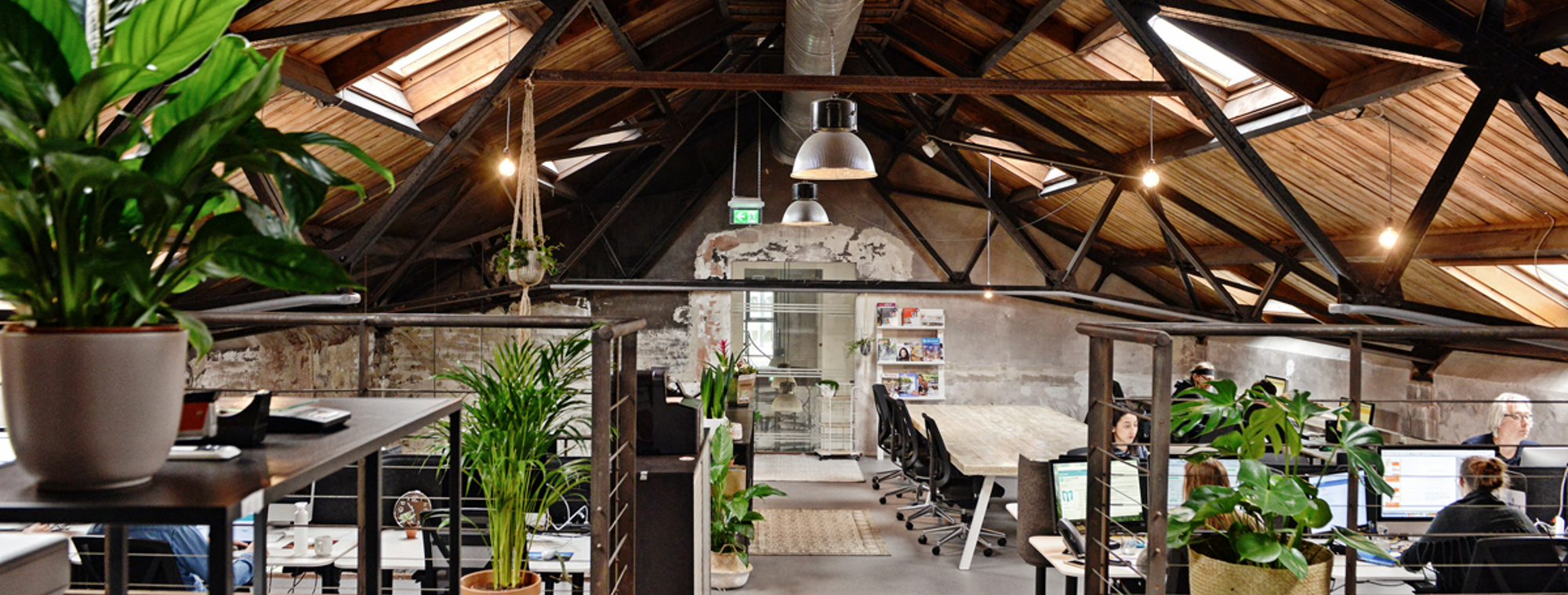 MEO Alkmaar Studio