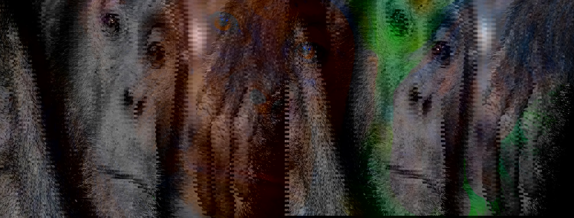 Francesco Ungaro O4A Zgh8u Y Unsplash