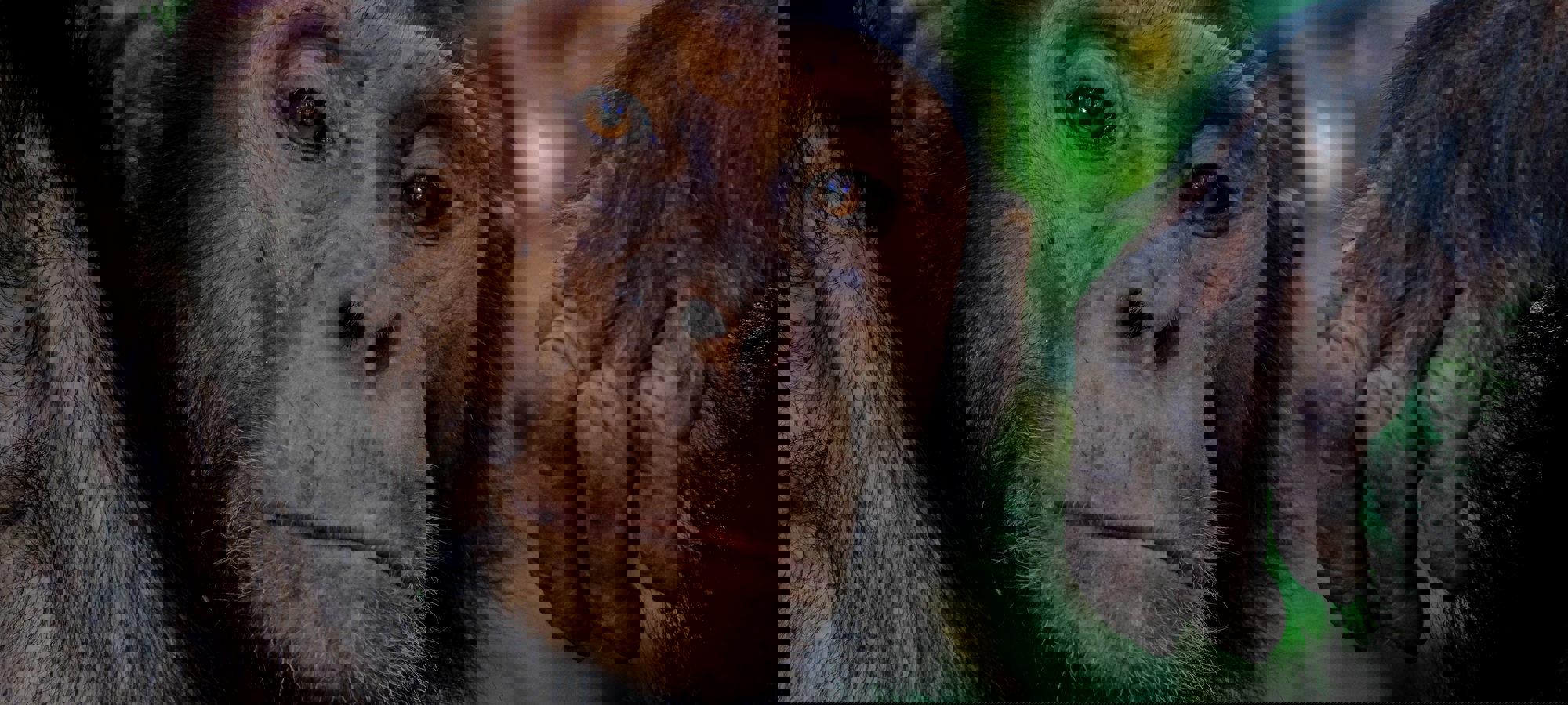 Francesco Ungaro O4A Zgh8u Y Unsplash