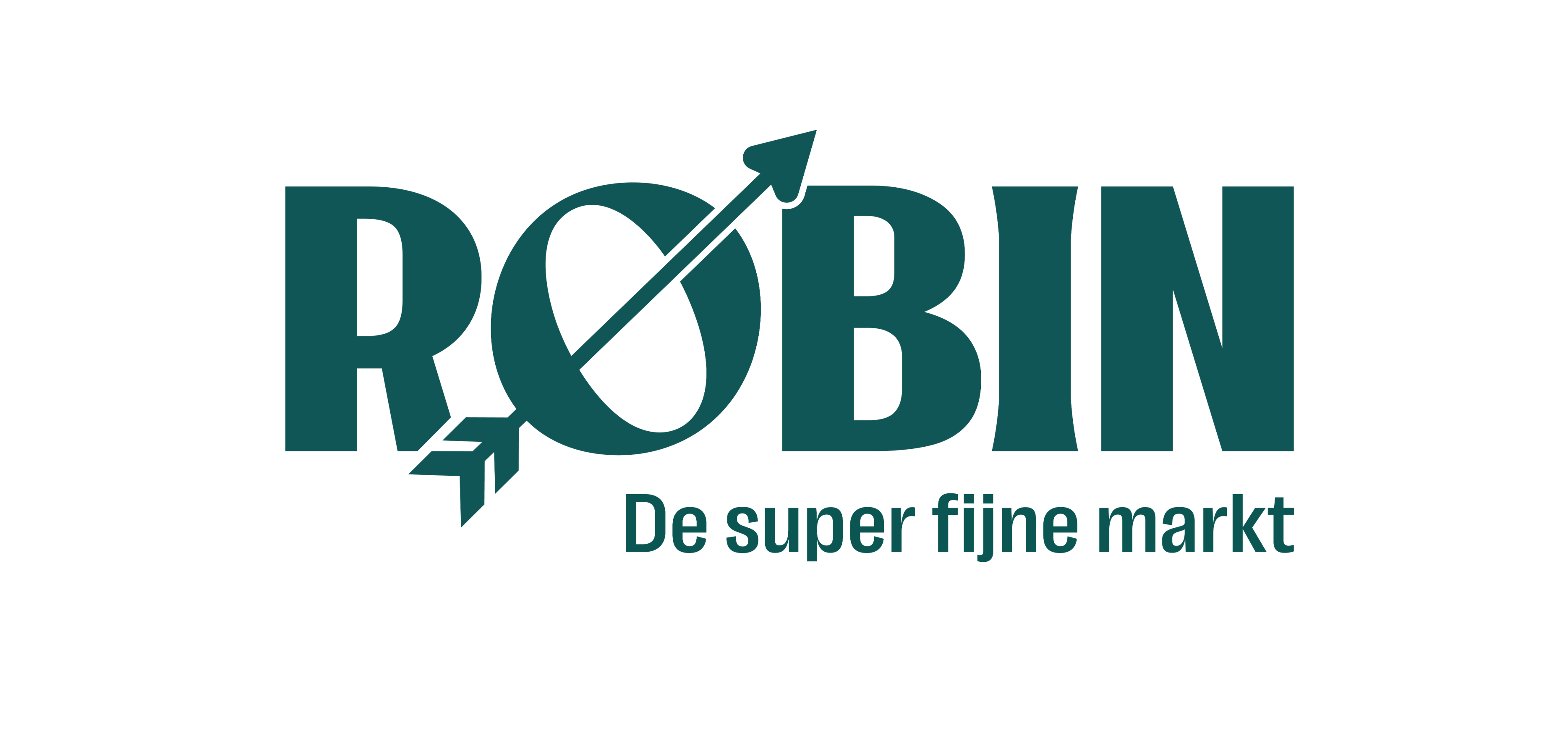 Informatieve Website Ontwikkeling Robin
