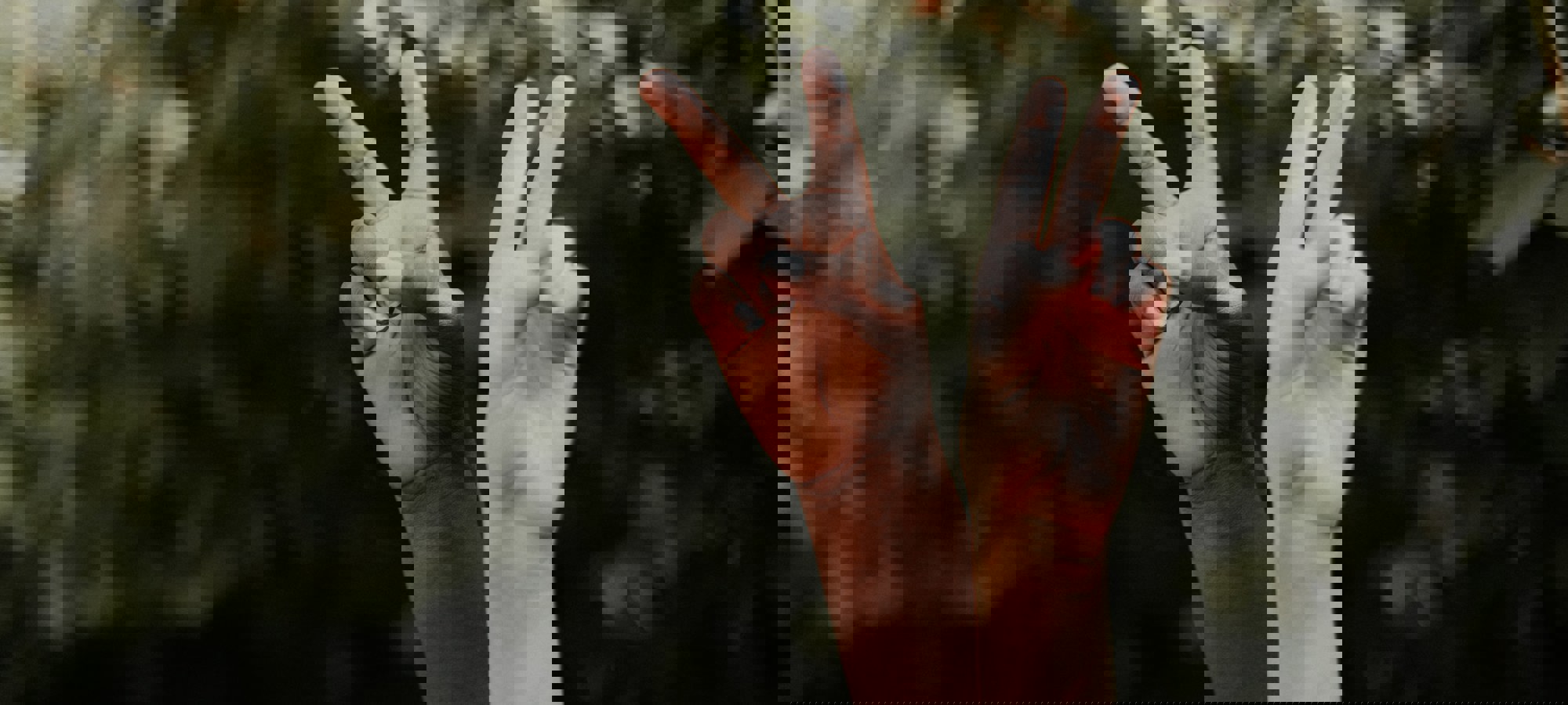 Priscilla Du Preez Knf9aehpi9o Unsplash