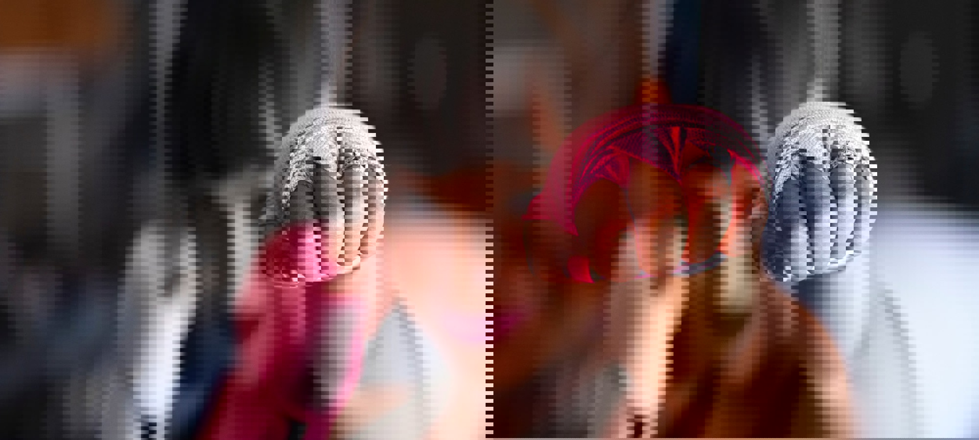 b73af6c8-a11c-45f1-856f-e5492f0b1788