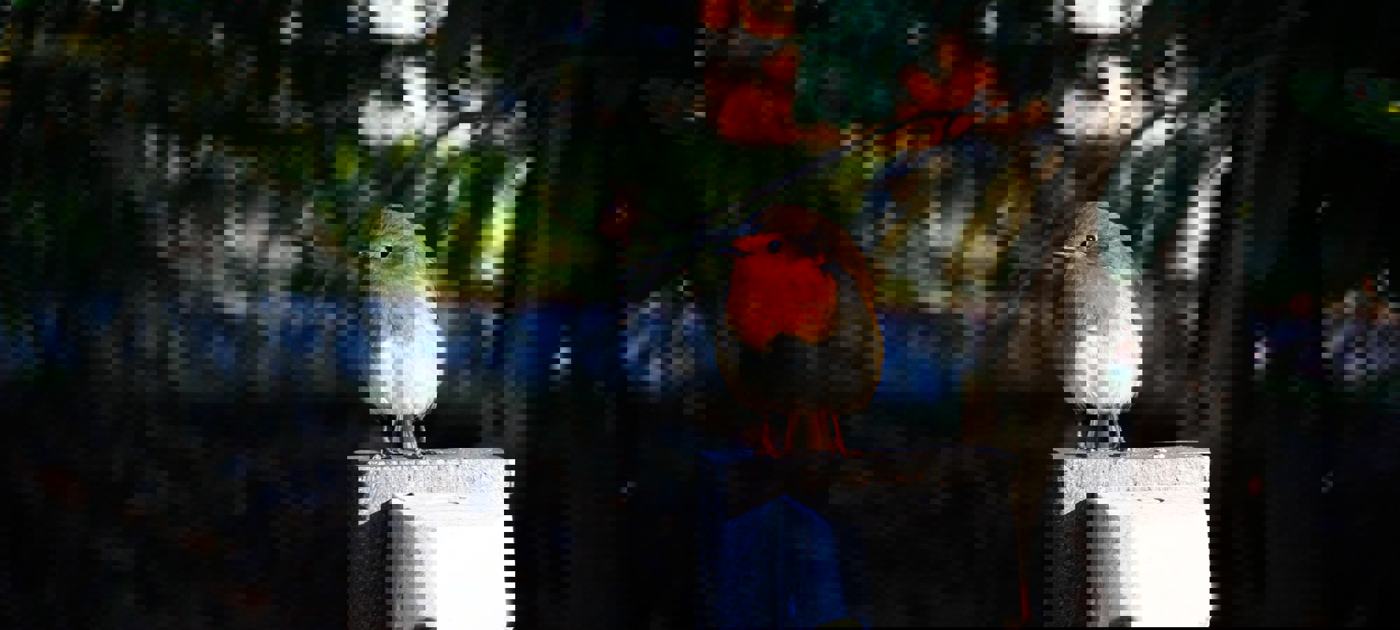 Lieve Ransijn 0Dtxt92q3ui Unsplash (1)