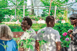 3 korte video's over migratie