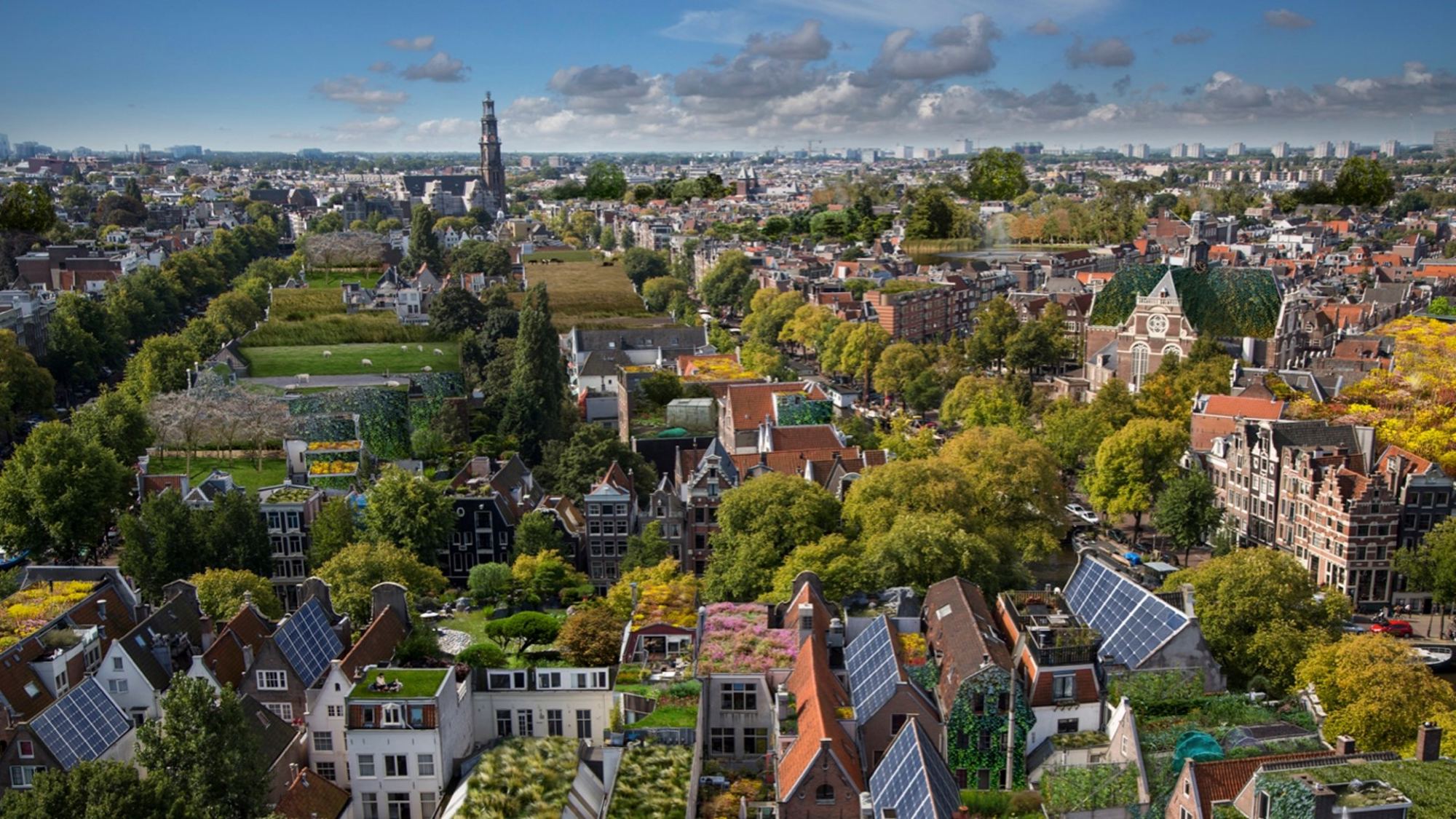 Stichting Rooftop Revolution