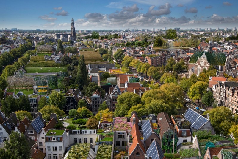 Stichting Rooftop Revolution