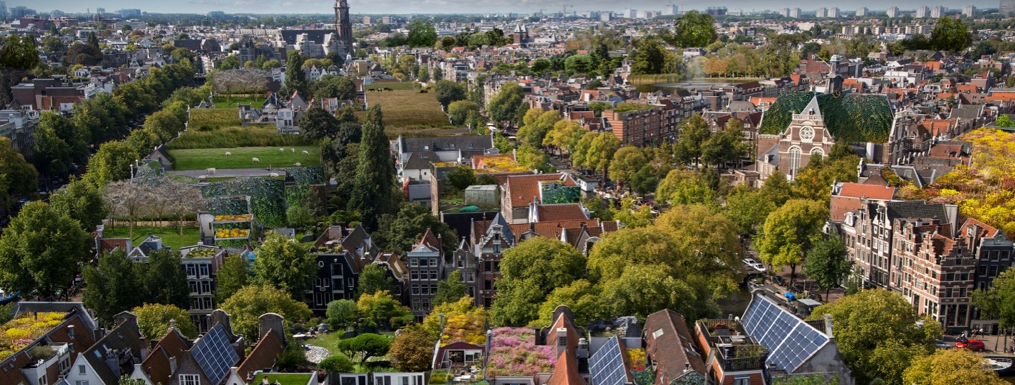 Stichting Rooftop Revolution-photo