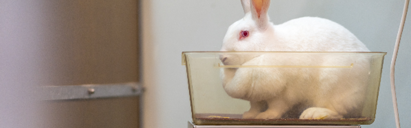 Handboek structureren 