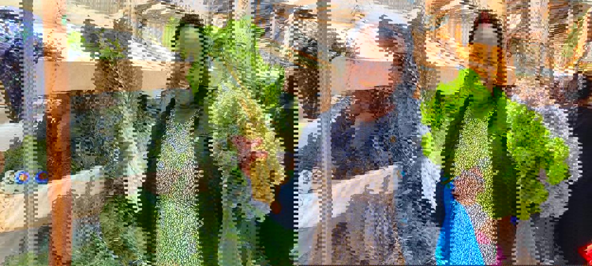 13b8d41d-7d2a-407e-959e-706183c05082