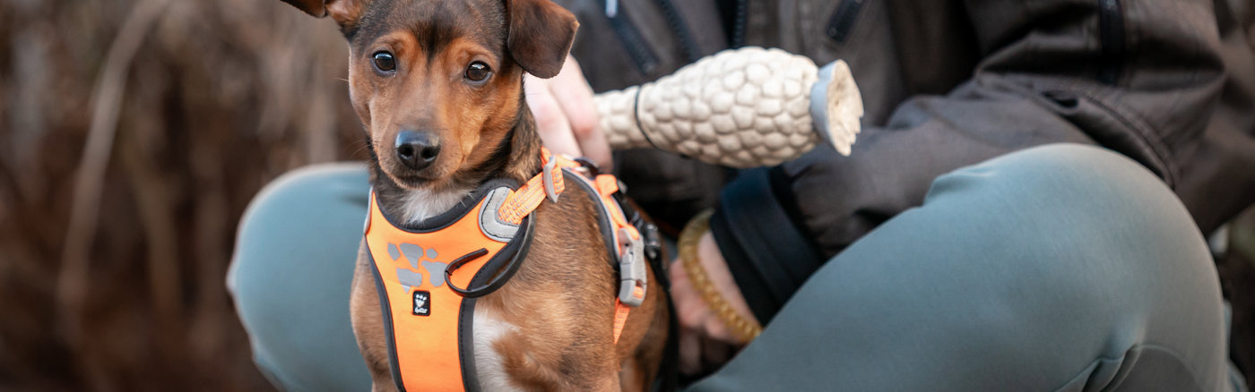 Gebruiksvriendelijk formulier ontwerpen