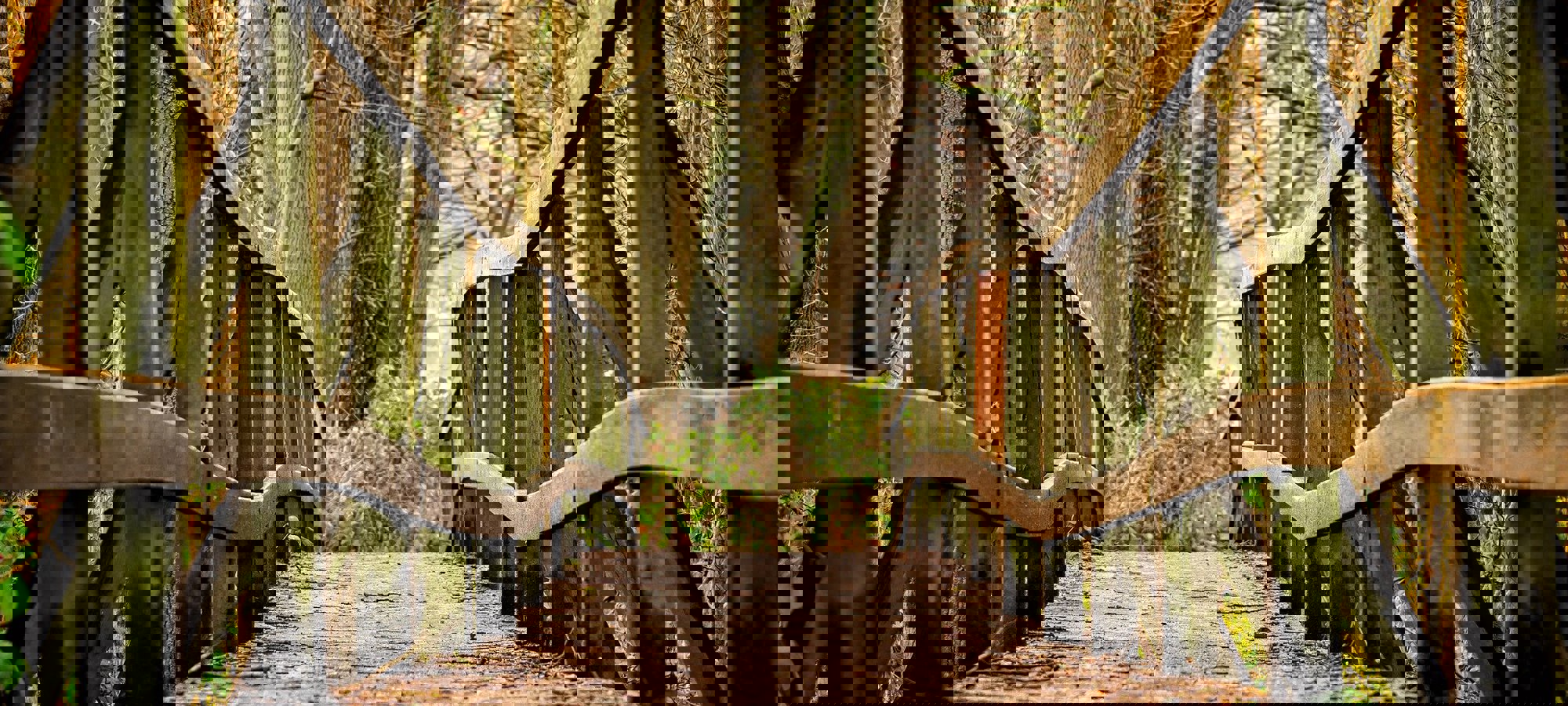 66e13bb0-5c6f-4038-bc32-8647d8188b9b