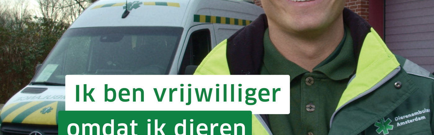 Advies Social Media Ads