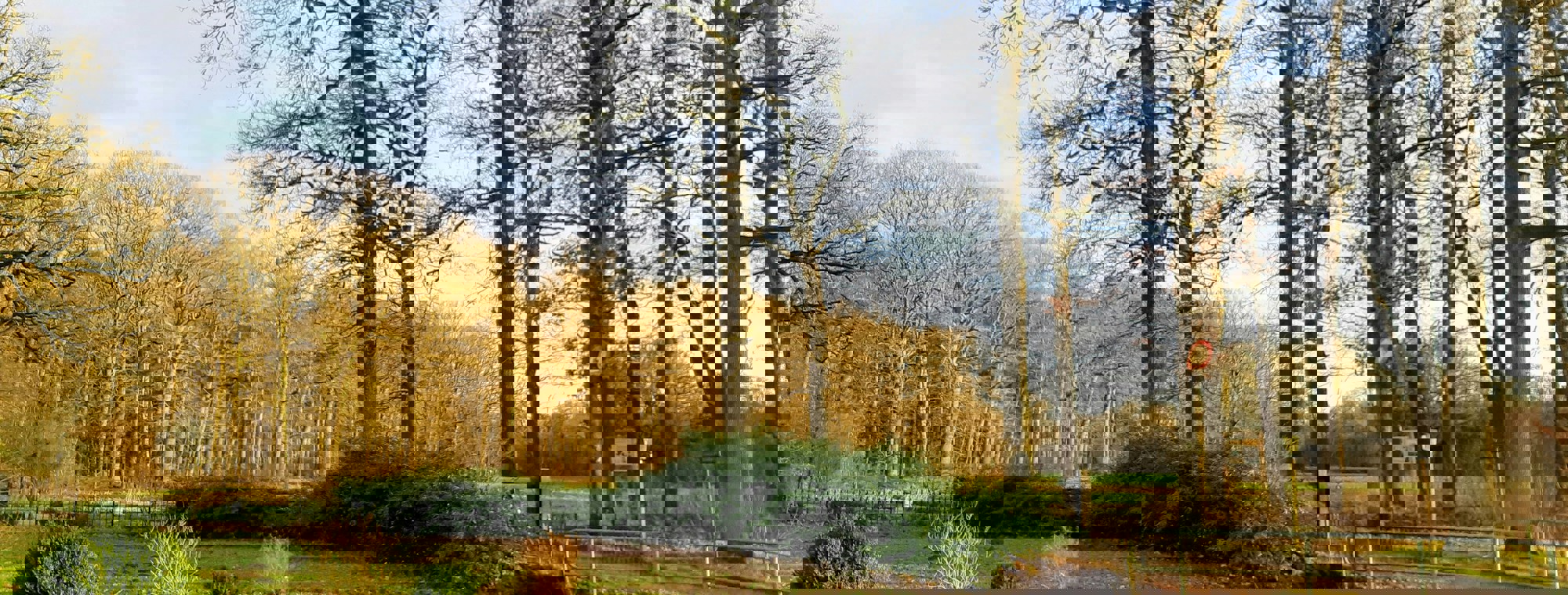 Hannelies Ravensloot Cdmgbyofeyo Unsplash