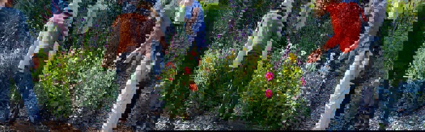 Website content update