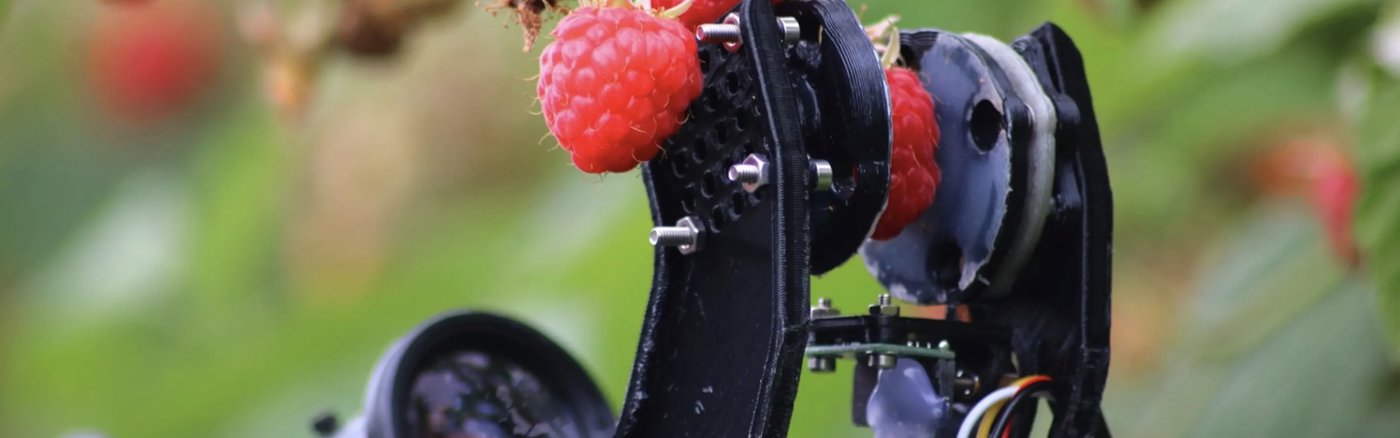 Strategisch advies over Marketing