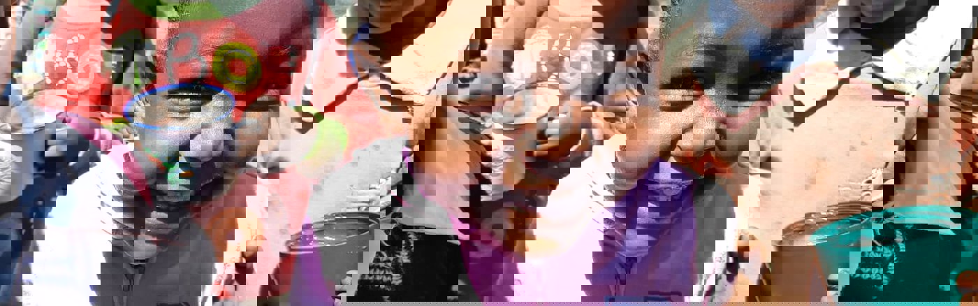 Elevator pitch maken