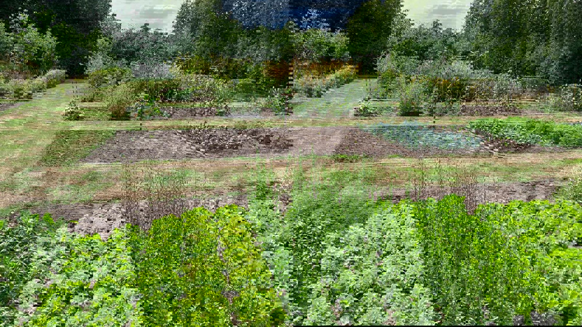 Zorggroep de Hooimijt 