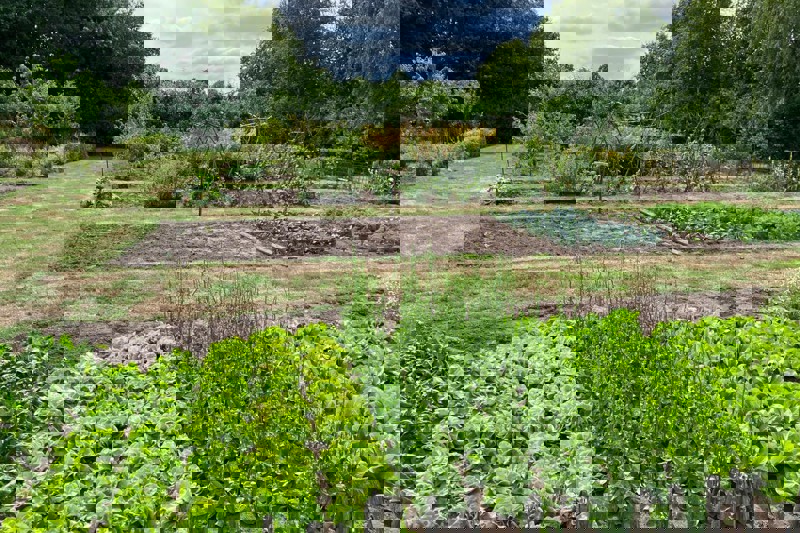 Zorggroep de Hooimijt 